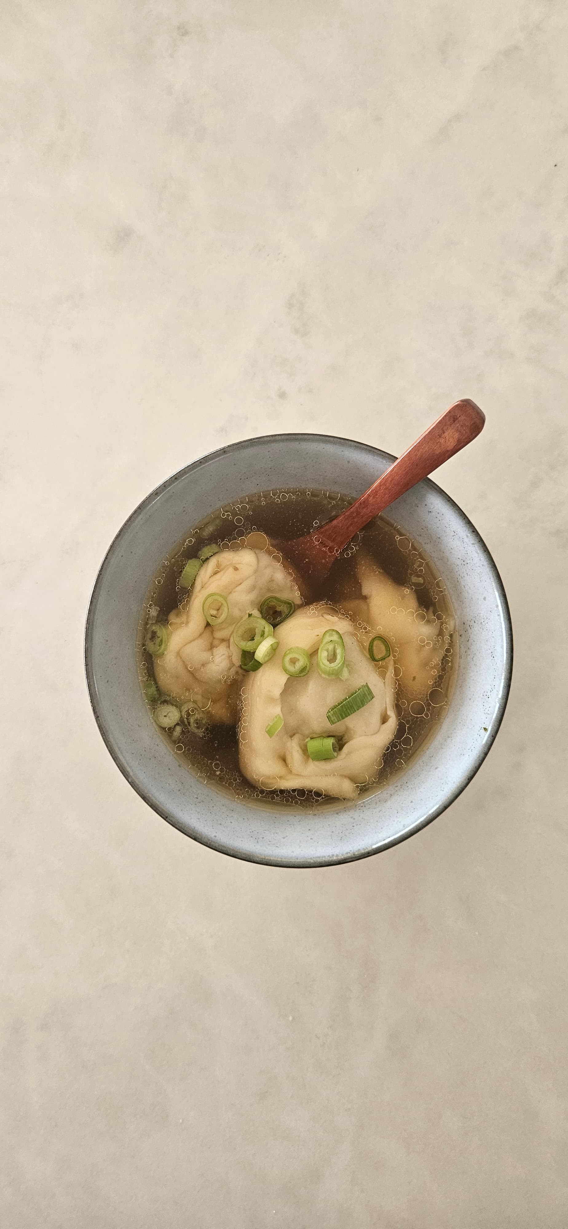 wontons in broth, moody